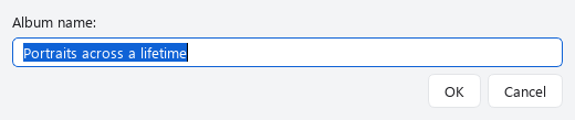 Name a virtual album for the selected Photos.